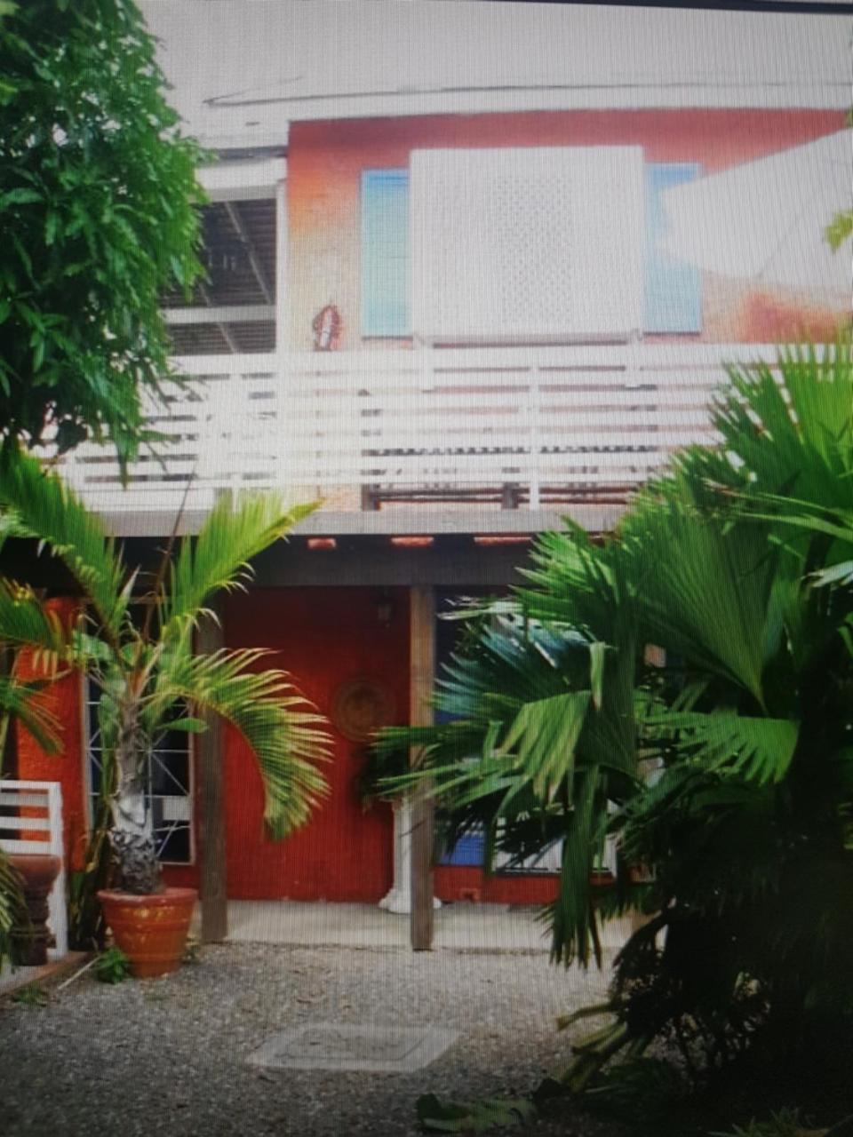 Mikuzi Hotel Kingston Buitenkant foto
