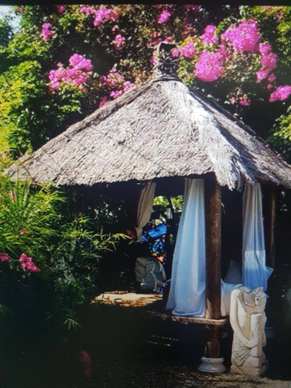 Mikuzi Hotel Kingston Buitenkant foto